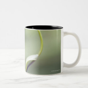 Frog on plant stem, Biei, Hokkaido, Japan Two-Tone Coffee Mug