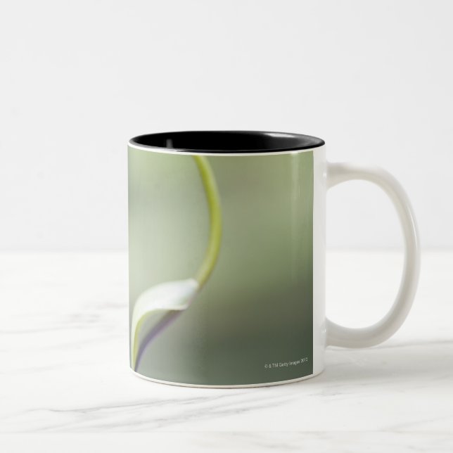 Frog on plant stem, Biei, Hokkaido, Japan Two-Tone Coffee Mug (Right)