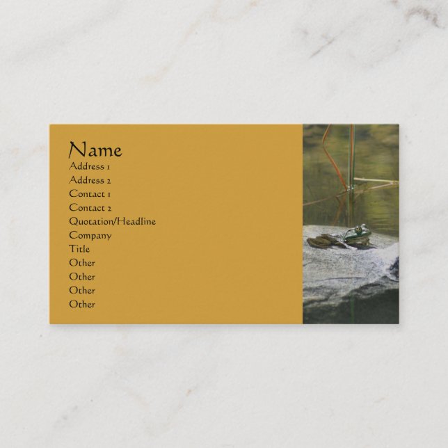 Frog On Rock Nature Photography Business Card (Front)