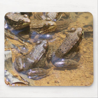 frog pad mouse mat
