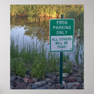 Frog Parking Only Poster Print