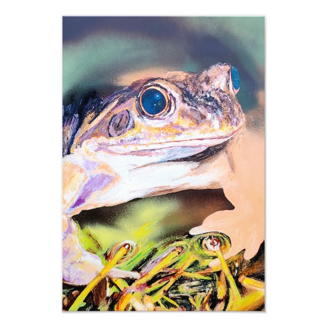 Frog Photo Print (Front)