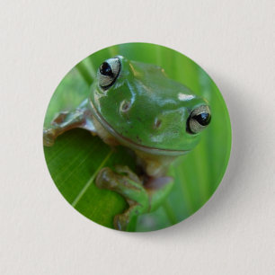 Frog Pin
