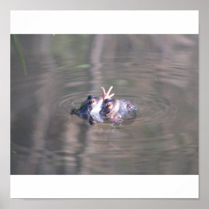 Frog Poster