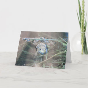 Frog/Pray Card