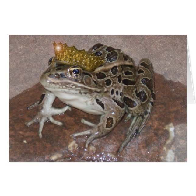 Frog Prince (Front Horizontal)