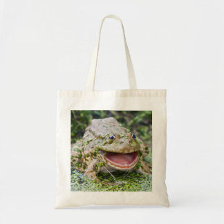 Frog Prince Bag