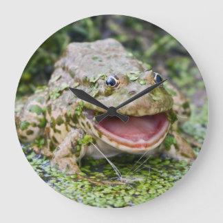 Frog Prince Clock