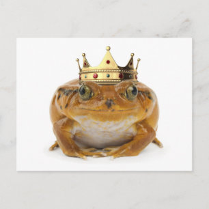 Frog Prince - front Postcard