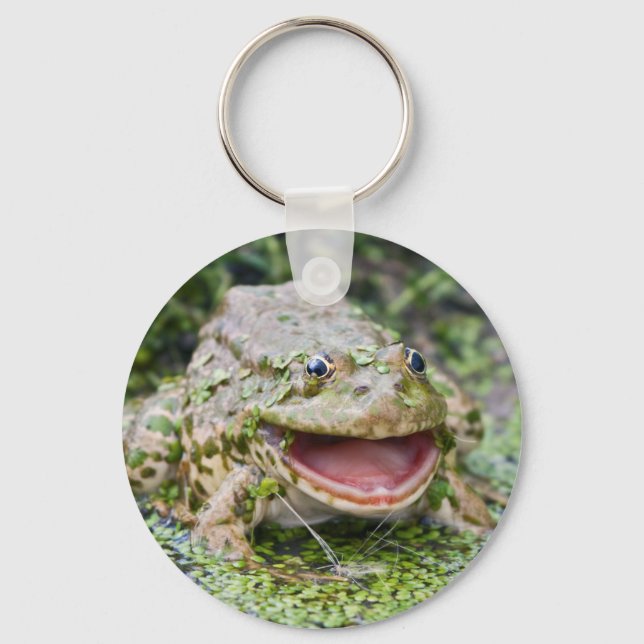 Frog Prince Keyring (Front)