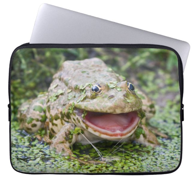 Frog Prince Laptop Sleeve (Front)