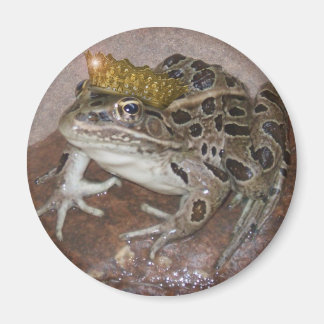 Frog Prince Magnet