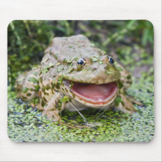 Frog Prince Mousemat