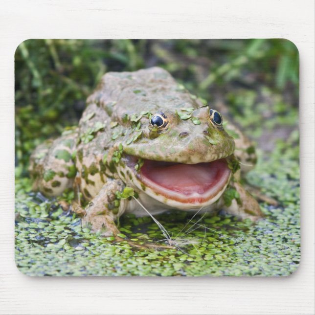 Frog Prince Mousemat (Front)
