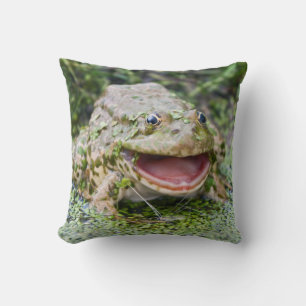 Frog Prince Pillow
