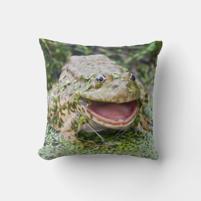 Frog Prince Pillow (Front)