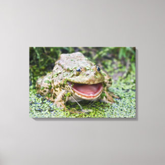Frog Prince Wrapped Canvas Print