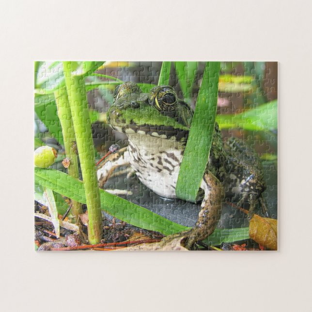 Frog Puzzle Extraordinaire (Horizontal)