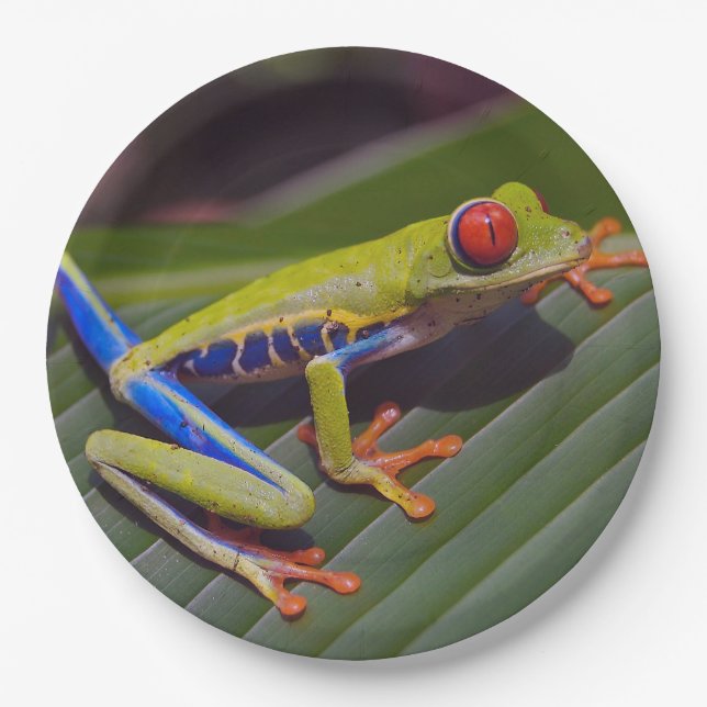 Frog Red Eye Photo Paper Plate (Front)