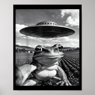 Frog Selfie with UFO Funny Frog Frog Meme Poster
