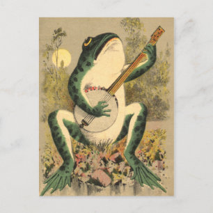 Frog Serenade Postcard