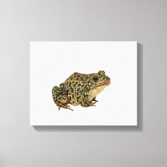 Frog shadow canvas print (Front)