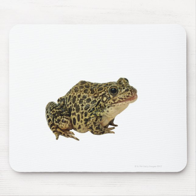 Frog shadow mouse mat (Front)