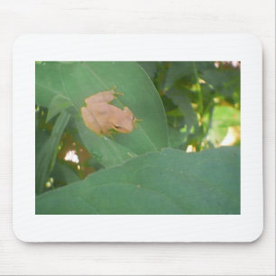 Frog Sitting on Green Leaf Mouse Mat