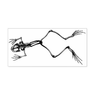 Frog skeleton rubber stamp