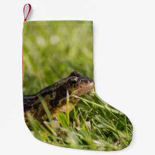 Frog Small Christmas Stocking