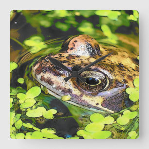 FROG SQUARE WALL CLOCK