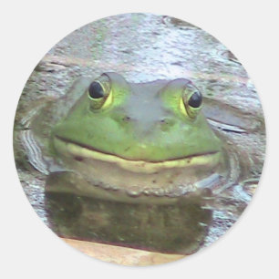 Frog Sticker