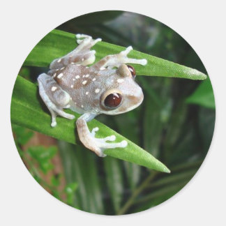 Frog Sticker