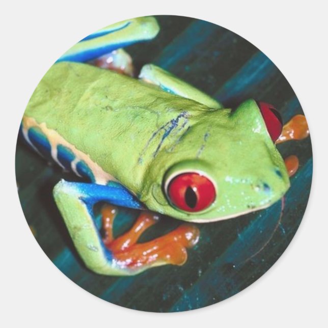 Frog Sticker (Front)