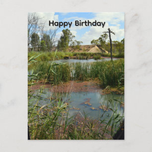 Frog Swamp Paradise Riverland Australia, Postcard