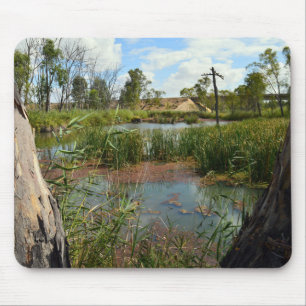Frog_swap_Paradise,_ Mouse Mat