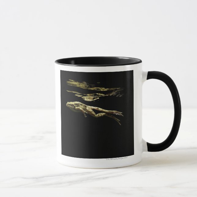 frog swimming in the dark just below the surface mug (Right)