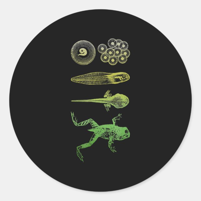 Frog Tadpole  Metamorphosis Life Cycle Biology Classic Round Sticker (Front)