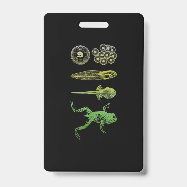 Frog Tadpole  Metamorphosis Life Cycle Biology ID Badge (Front)