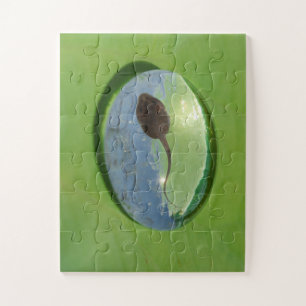 Frog Tadpole Swimming in Water Drop Jigsaw Puzzle
