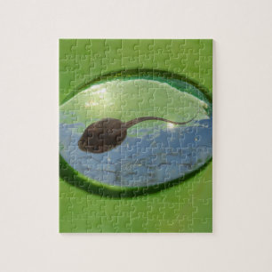 Frog Tadpole Swimming in Water Drop Jigsaw Puzzle