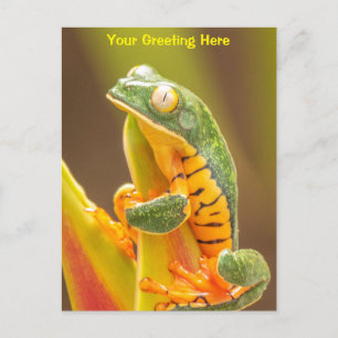 Frog Tiger Leg Monkey Tree Frog Personalised Postcard