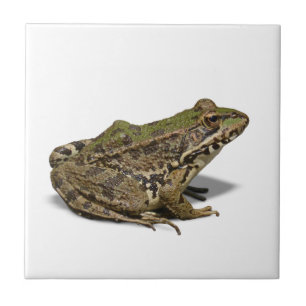 Frog Tile