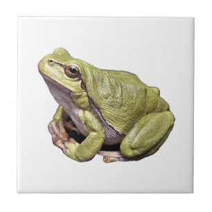 Frog Tile
