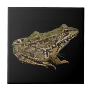 Frog Tile