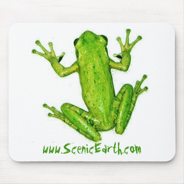 Frog Tropical Rain Forest Tree Frog MousePad Art (Front)