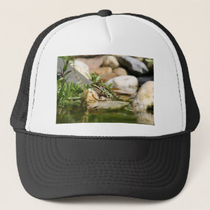 frog trucker hat