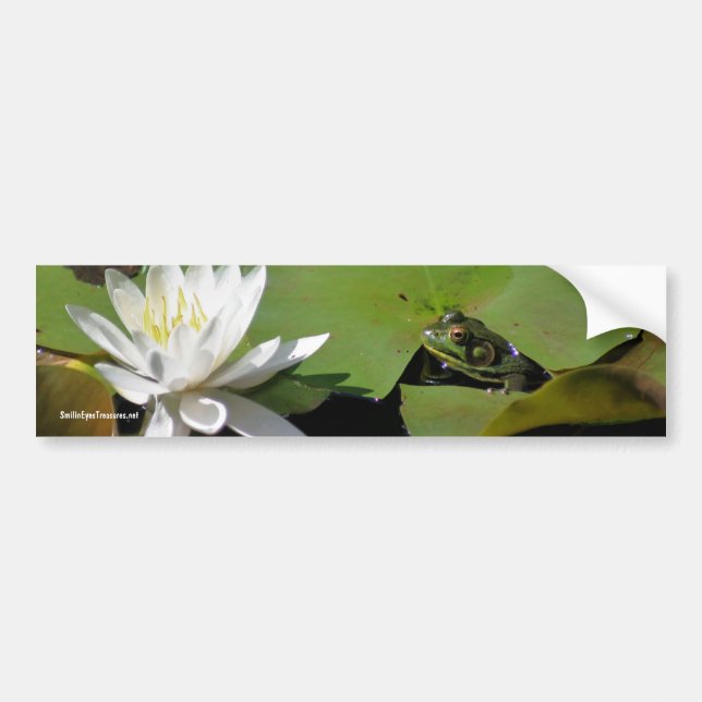 Frog Water Lily Flower Photo Bumper Sticker (Front)