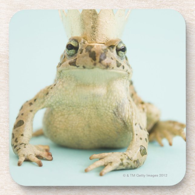 Frog wearing crown coaster (Front)
