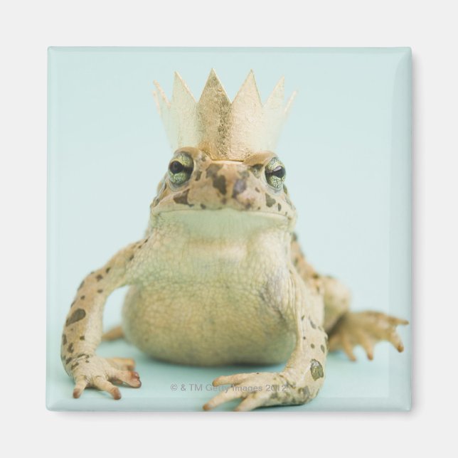 Frog wearing crown magnet (Front)